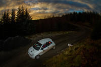 Grizedale Stages Rally