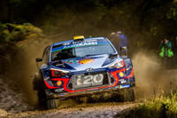 WRC: Wales Rally GB